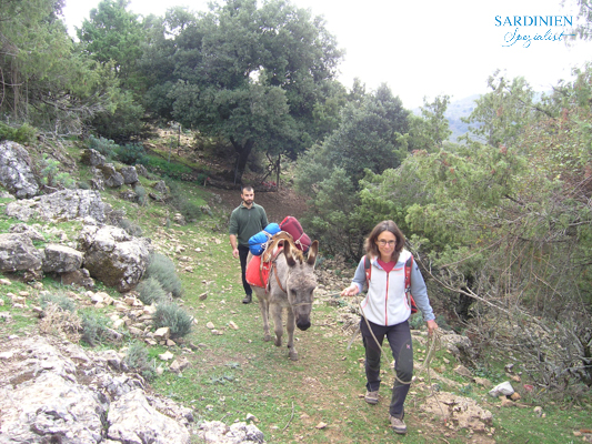 17-eseltrekking-auf-sardinien