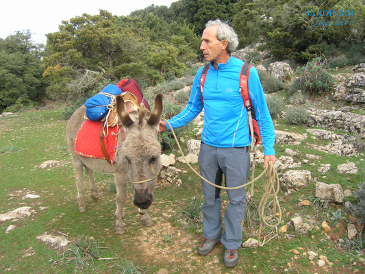 18-eseltrekking-auf-sardinien