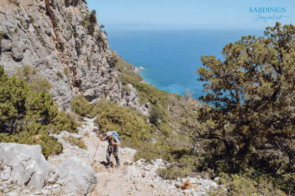 3-eseltrekking-auf-sardinien