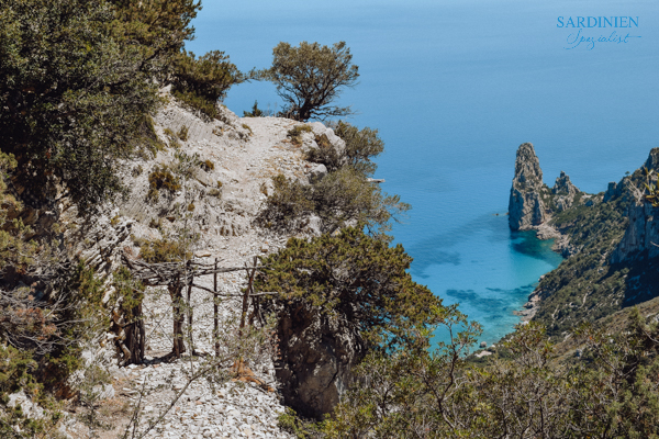 4-eseltrekking-auf-sardinien